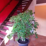 Nyaraló L'heure Bleue *