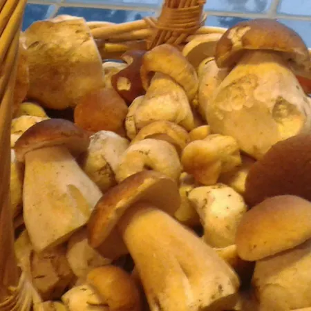 Holiday home L'heure Bleue *