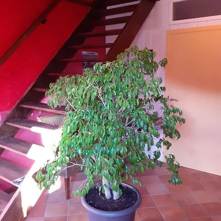 Holiday home L'heure Bleue *